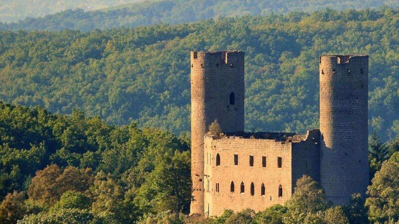 La Curiosite - Appartement 2 Chambres A Barr, Route Des Vins D'Alsace Esterno foto