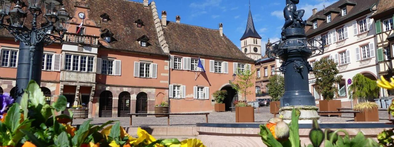 La Curiosite - Appartement 2 Chambres A Barr, Route Des Vins D'Alsace Esterno foto